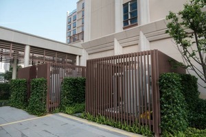 IMG_1329